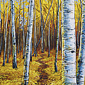 Aspen Trail