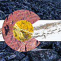 Colorado State Flag with Mountain Textures